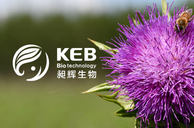 生物醫(yī)療網站建設|生物網站官網制作