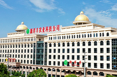 上市公司網站建設,農業(yè)網站建設