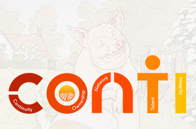 集團公司網站制作|外企網站設計開發(fā)